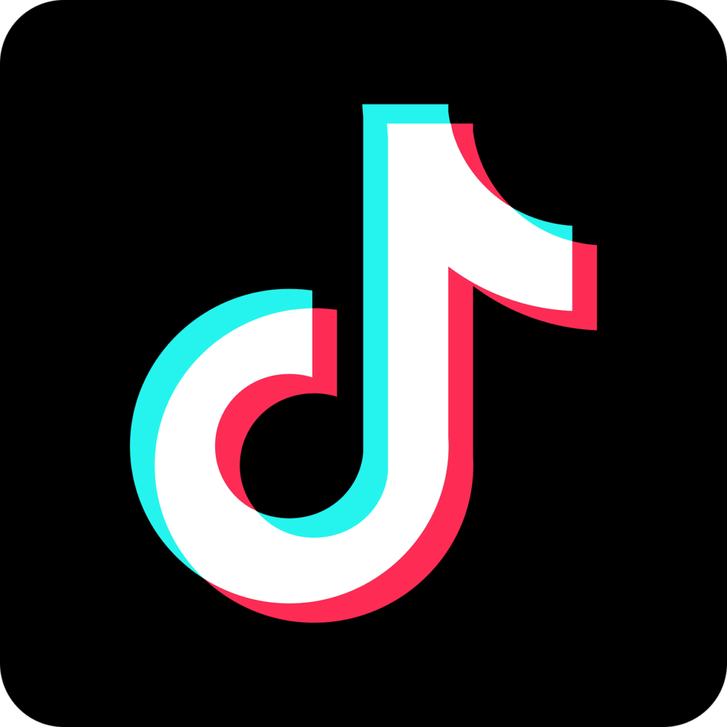 is tiktok the new search engine